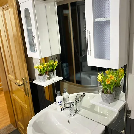 Apartment Nikola Pale